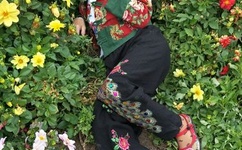 日本三级香港三级三级人!妇久